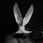 What Does it Mean to Blaspheme the Holy Spirit?